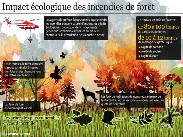 [RU RUSSIE] - Incendie en Russie : Les impacts  écologiques