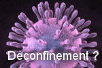 Image du CORONAVIRUS